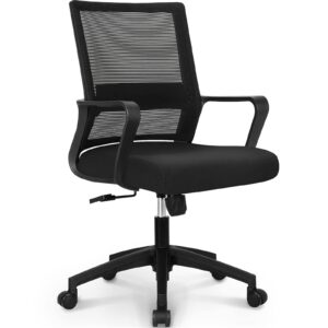 Low Back Mesh Chair Black Breathable Mesh with a Heavy-duty Nylon Base and Adjustable