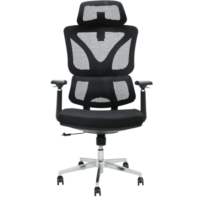 Ergonomic office chair with breathable mesh back, adjustable headrest and armrests
