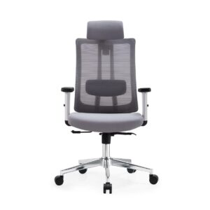 Grey Ergonomic High Back Mesh Office Chair with Adjustable Headrest & Armrest
